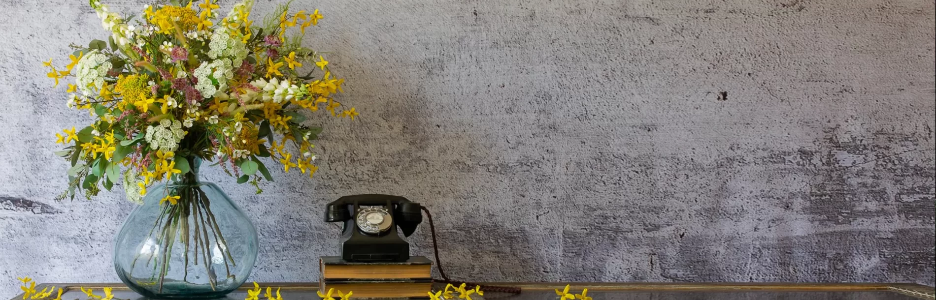 تماس با باغبون 24