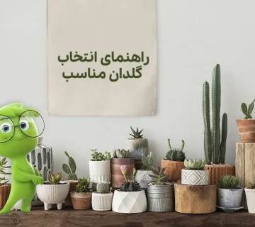 انتخاب گلدان مناسب