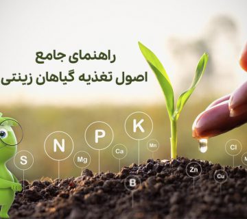 تغذیه گیاهان