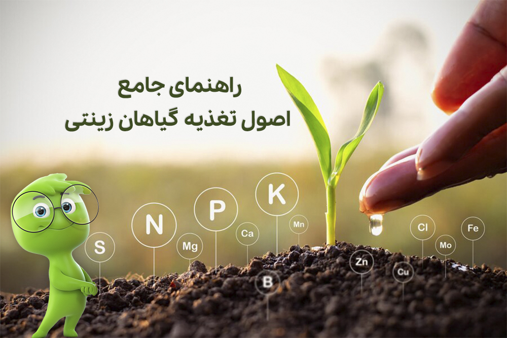 تغذیه گیاهان