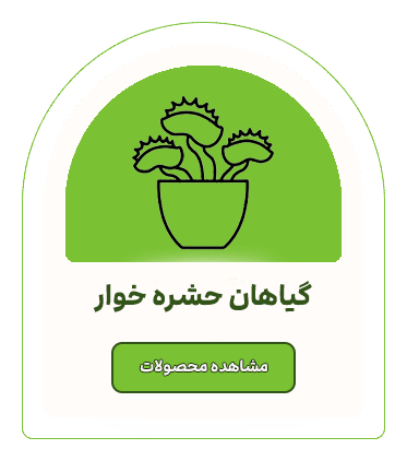 گیاهان حشره خوار