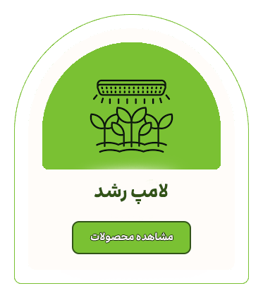 لامپ رشد
